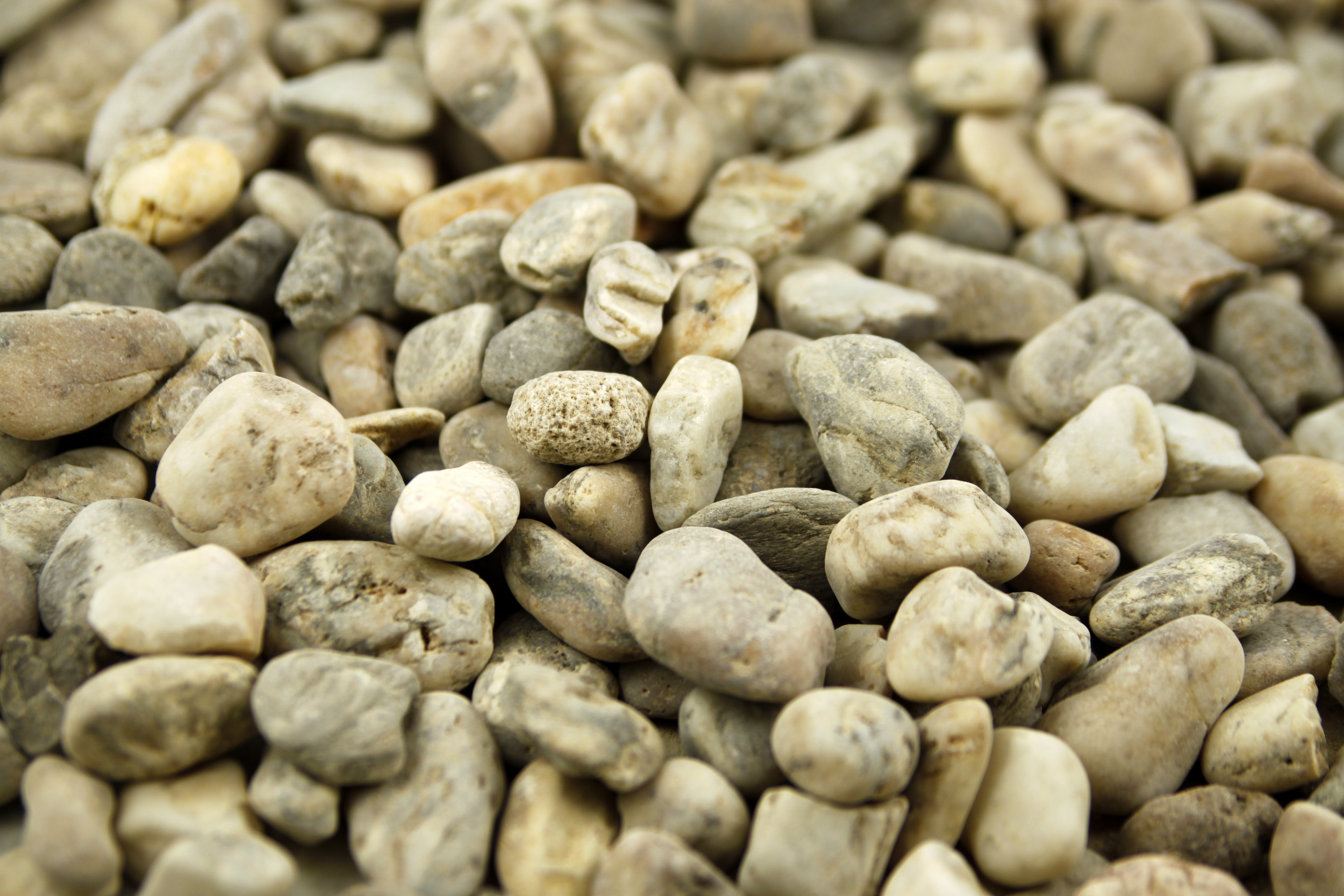 Gros plan d'un ensemble de petits galets de différentes tailles et nuances de beige, gris et brun, disposés de manière aléatoire.